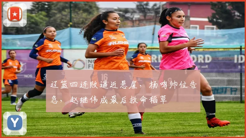 辽篮四连败逼近悬崖，杨鸣帅位告急，赵继伟成最后救命稻草